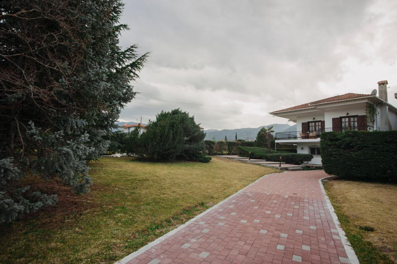Mythic House Villa Leptokaryá Buitenkant foto